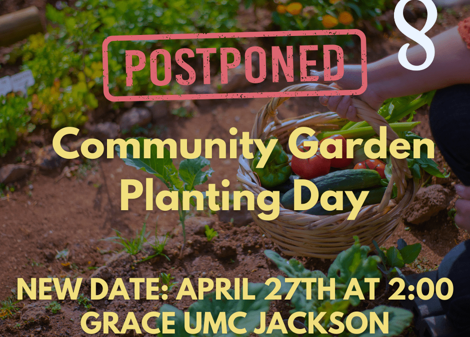 Community Garden Planting Day
